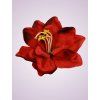 F19225 amarylis red black