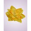 F19225 amarylis yellow