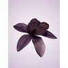65792 orchidea purple