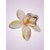65792 orchidea lavender
