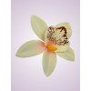 65792 orchidea peach
