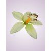 65792 orchidea green