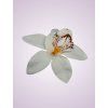 65792 orchidea pure white