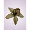 65792 orchidea grey