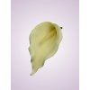 LY9901 kalia cream