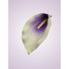 LY9901 kalia lilac