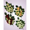 MP216499 kytica ruza