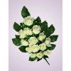 MP216499 kytica ruza cream