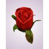 LY9907 ruža red