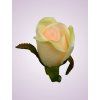 LY9907 ruža lt peach