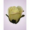 LY9907 ruža lt yellow