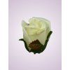 LY9907 ruža cream.tch