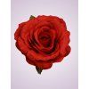 LY9905 ruža red 9545