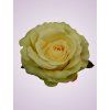 LY9905 ruža lt yellow .tch 9830