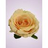 LY9905 ruža lt peach 9870