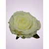 LY9905 ruža cream 9536
