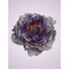 RS233998 pivónia lavender