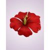 W602 amarylis-red