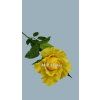 JJ015133 ruza yellow
