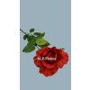 JJ015133 ruza red