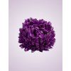 LVD2017 Chryzantéma lilac