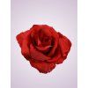 AR15533 ruža red
