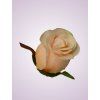 MP980110 ruža peach 37 #