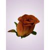 MP980110 ruža brown 47 #