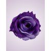 ML6041 ruža lt lilac (1)