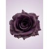 ML6041 ruža purple aut (1)