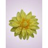 F2395 dália yellow