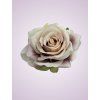 LY2401S ruža dk cream pu