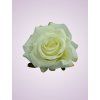 LY2401S ruža cream tch