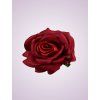 LY2401S ruža red tch
