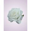 LY2401S ruža pure white