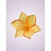 MP223327 ľalia peach tch