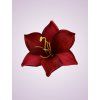 MP223327 ľalia red black