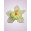 W017 orchidea cream