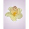 W017 orchidea ivory