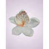 W017 orchidea pure white