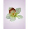 W017 orchidea mint