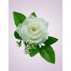 Y2504 ruža cream