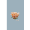 M.P. Flower (16)