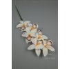 65792 orchidea white