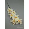 65792 orchidea cream yellow