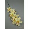 65792 orchidea green