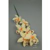 65792 orchidea peach