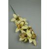 65792 orchidea aut cream