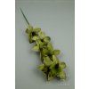 65792 orchidea aut green