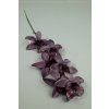 65792 orchidea purple